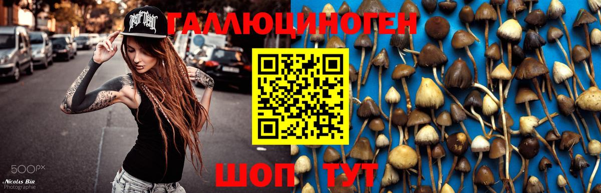 Галлюциногенные грибы GOLDEN TEACHER  Вход с VPN  Барабинск  Псилоцибиновые грибы ЛСД 